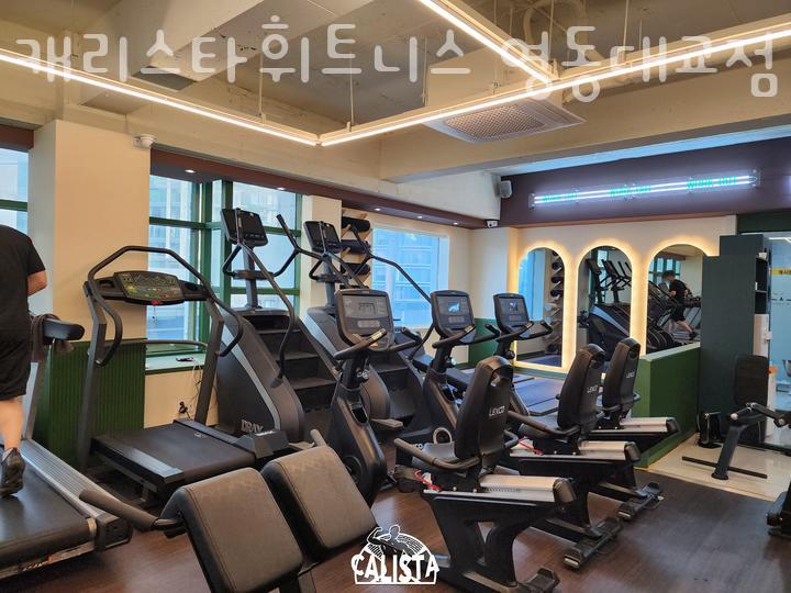 캐리피트니스 이미지
