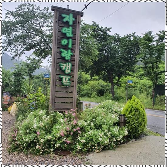 법흥캠핑장 이미지