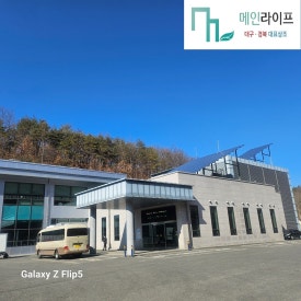 의성상조 이미지