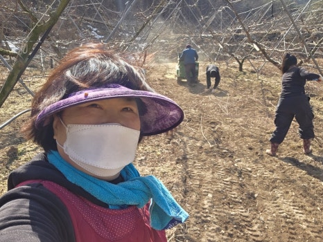 대풍농기계 이미지