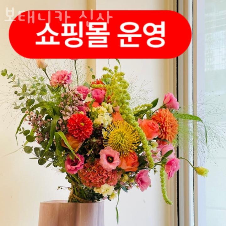 보태니카 이미지