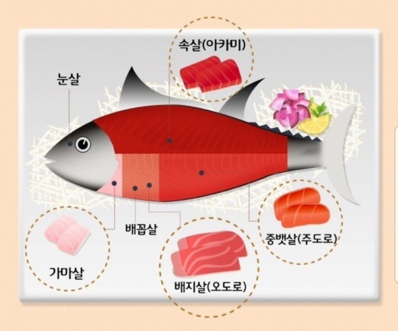 본참치 이미지