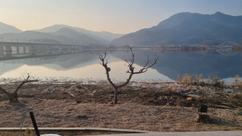 글로벌경영자문협동조합 이미지