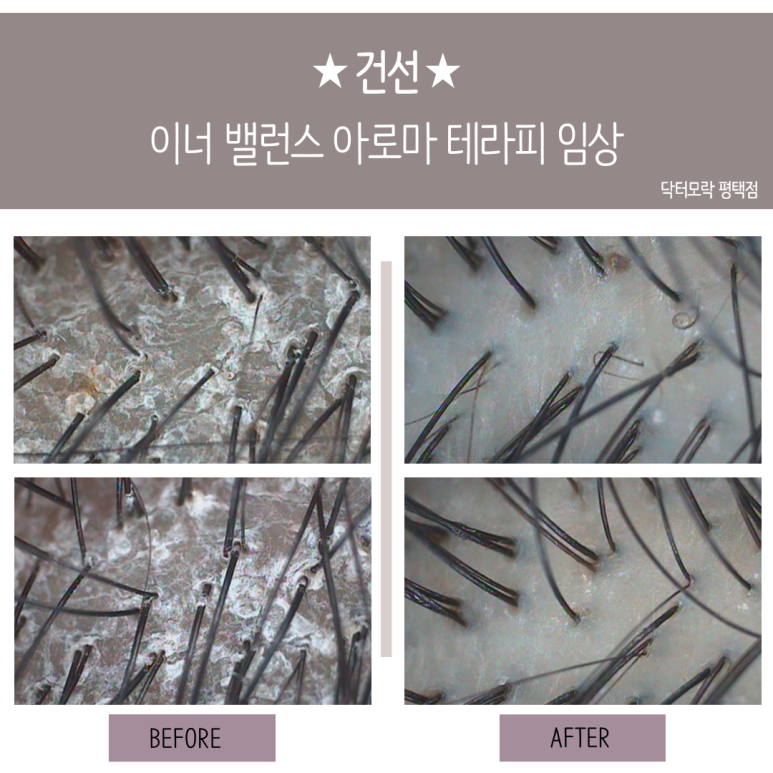 닥터모락 평택점 이미지