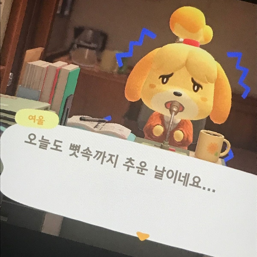 써니테니스 이미지