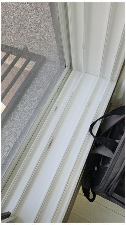 정성홈케어 이미지