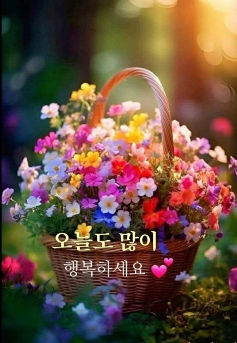 수지상사 이미지