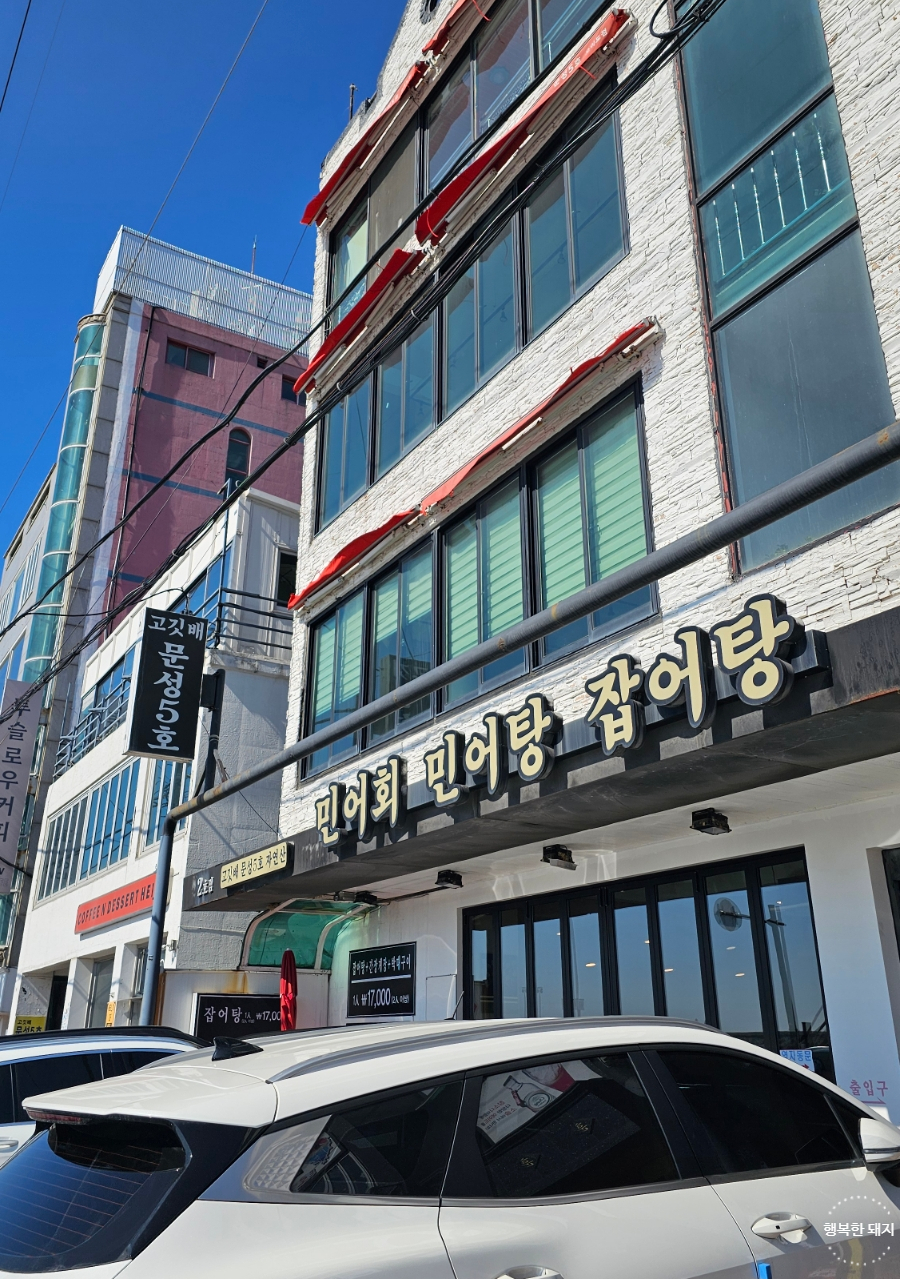 문성5호 이미지