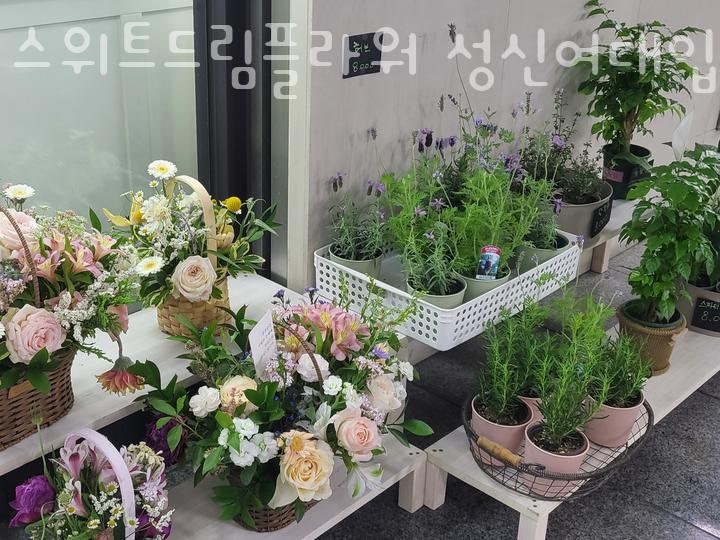 스위트드림플라워 이미지