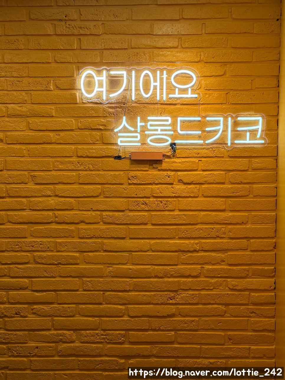 준 살롱드 헤어 이미지