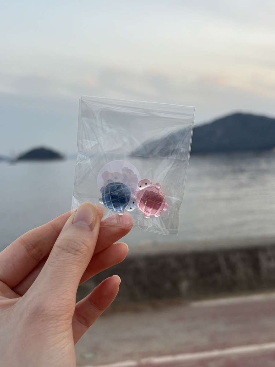 마메드러 이미지