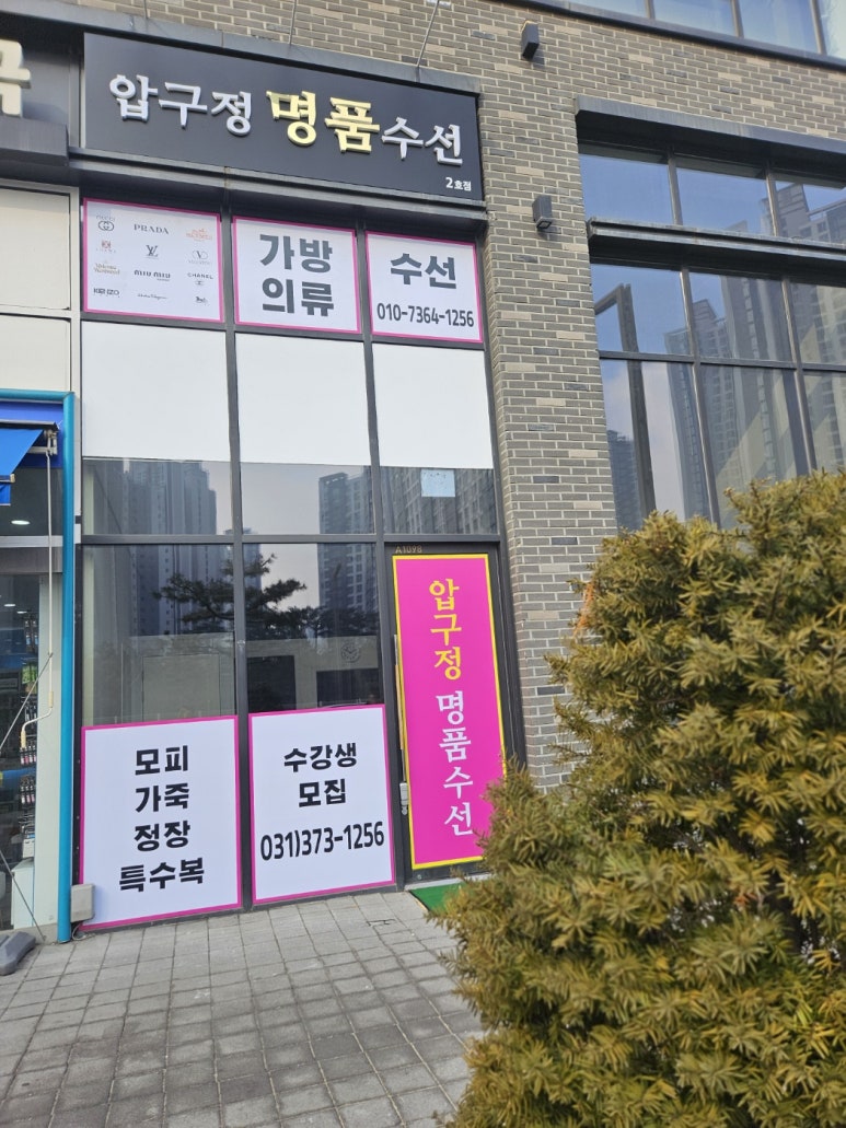 두리수선 이미지