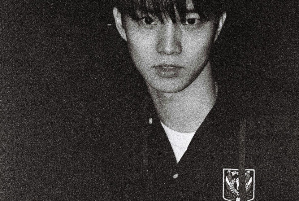 파니에 이미지