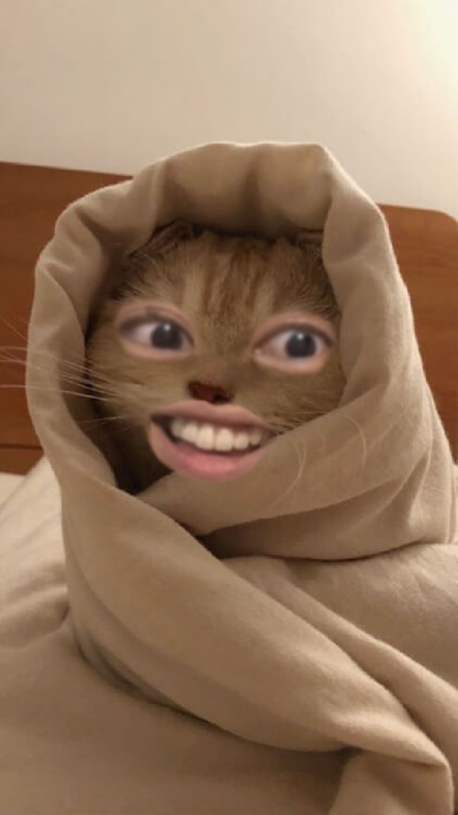 이십구 이미지