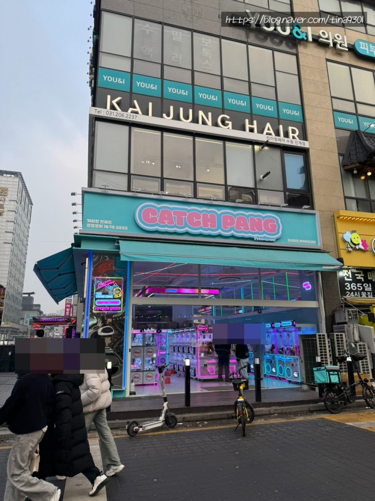 캐치팡 이미지