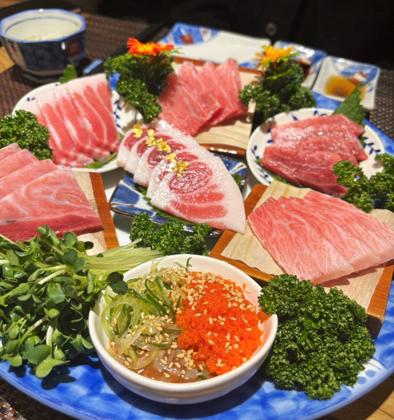 피지참치 이미지