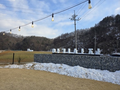 아기동물카페 이미지
