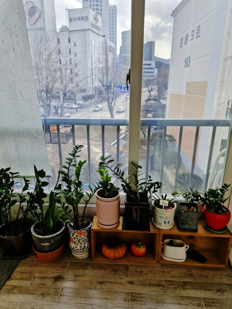 동서가구구미 이미지