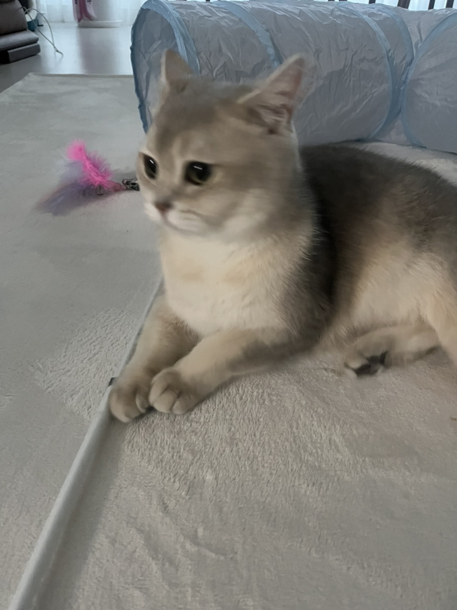 카페소어 이미지