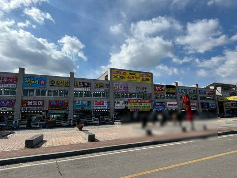 광수 새조개 이미지
