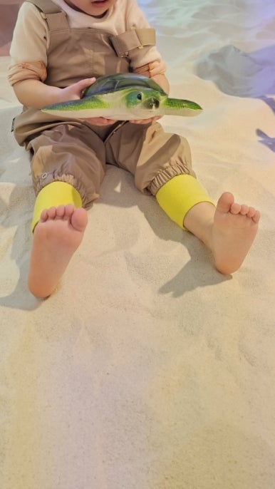 아쿠아파크 이미지