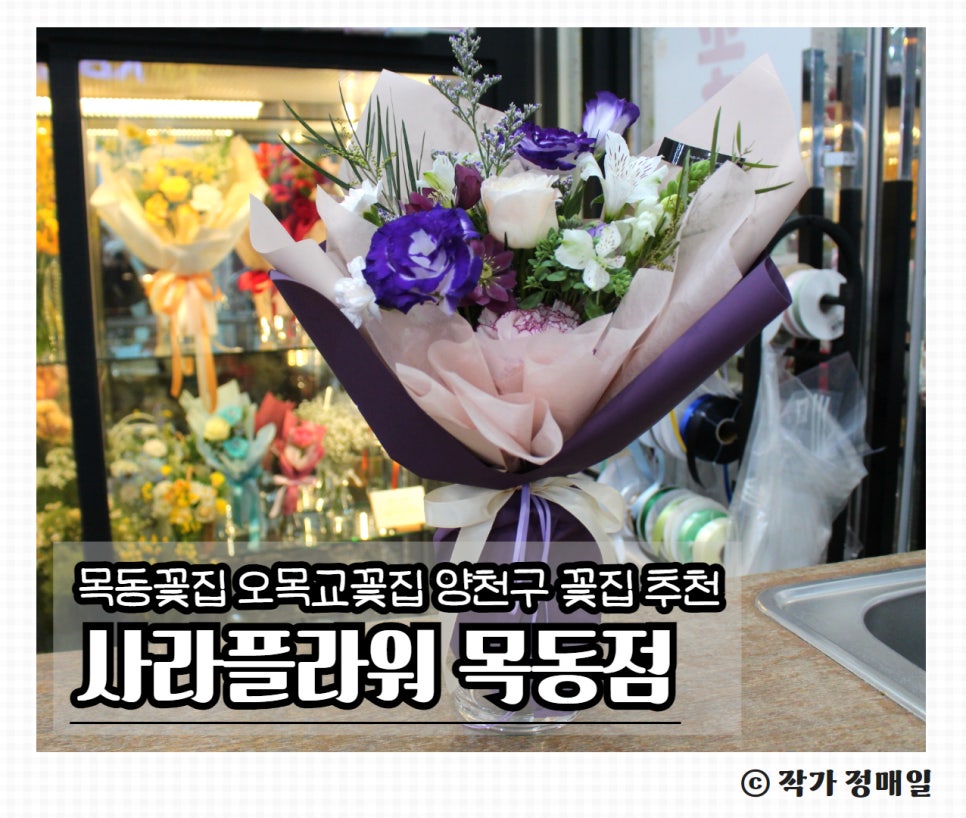 사라플라워 이미지