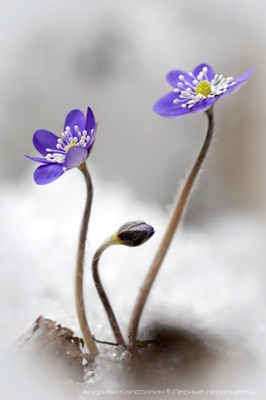 숲속이야기 이미지