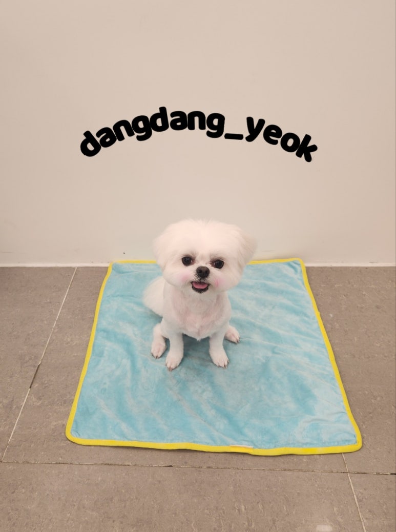 연두미용실 이미지