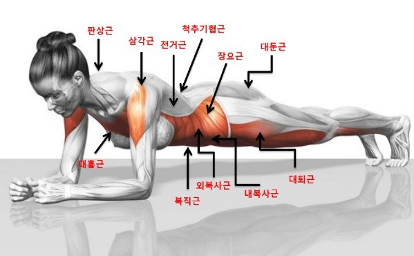 팀JJ피트니스 이미지