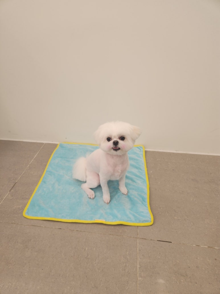 연두미용실 이미지