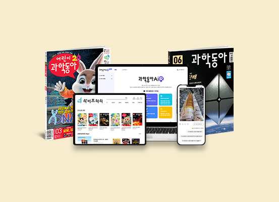 캘리스코히바린현대 이미지