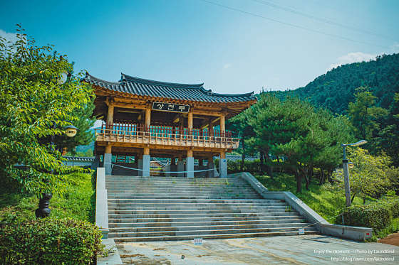 호명산잣나무숲속캠핑장 이미지