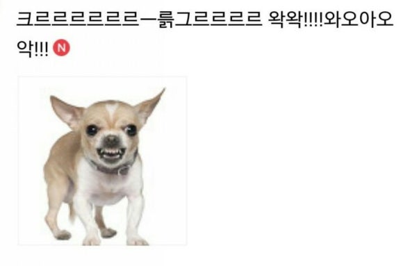 미(ME) 이미지