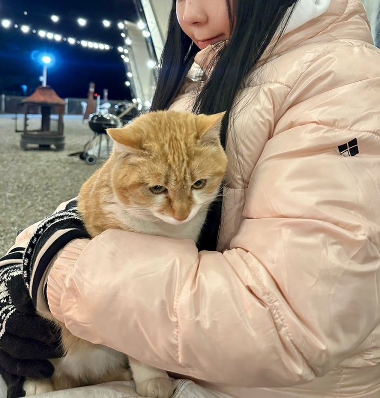 천안 D.D 글램핑 이미지