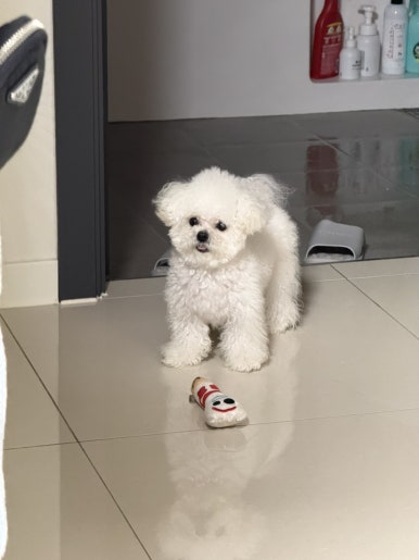 키히키히 이미지