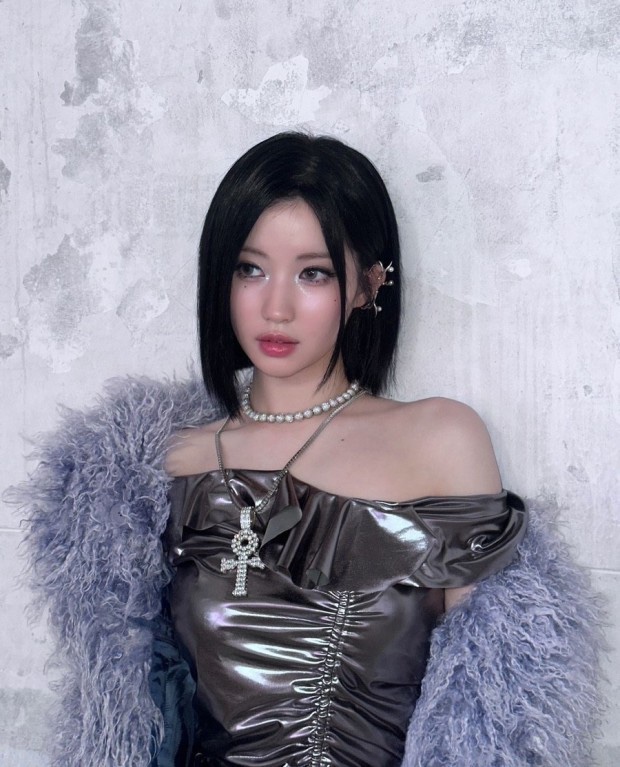 아사시 이미지