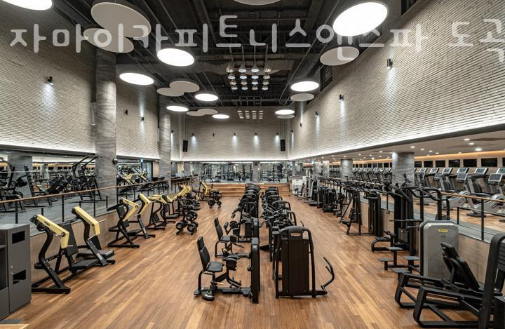 자마이카 피트니스 이미지