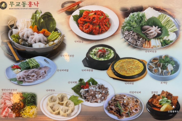 낙지무교동홍낙 이미지