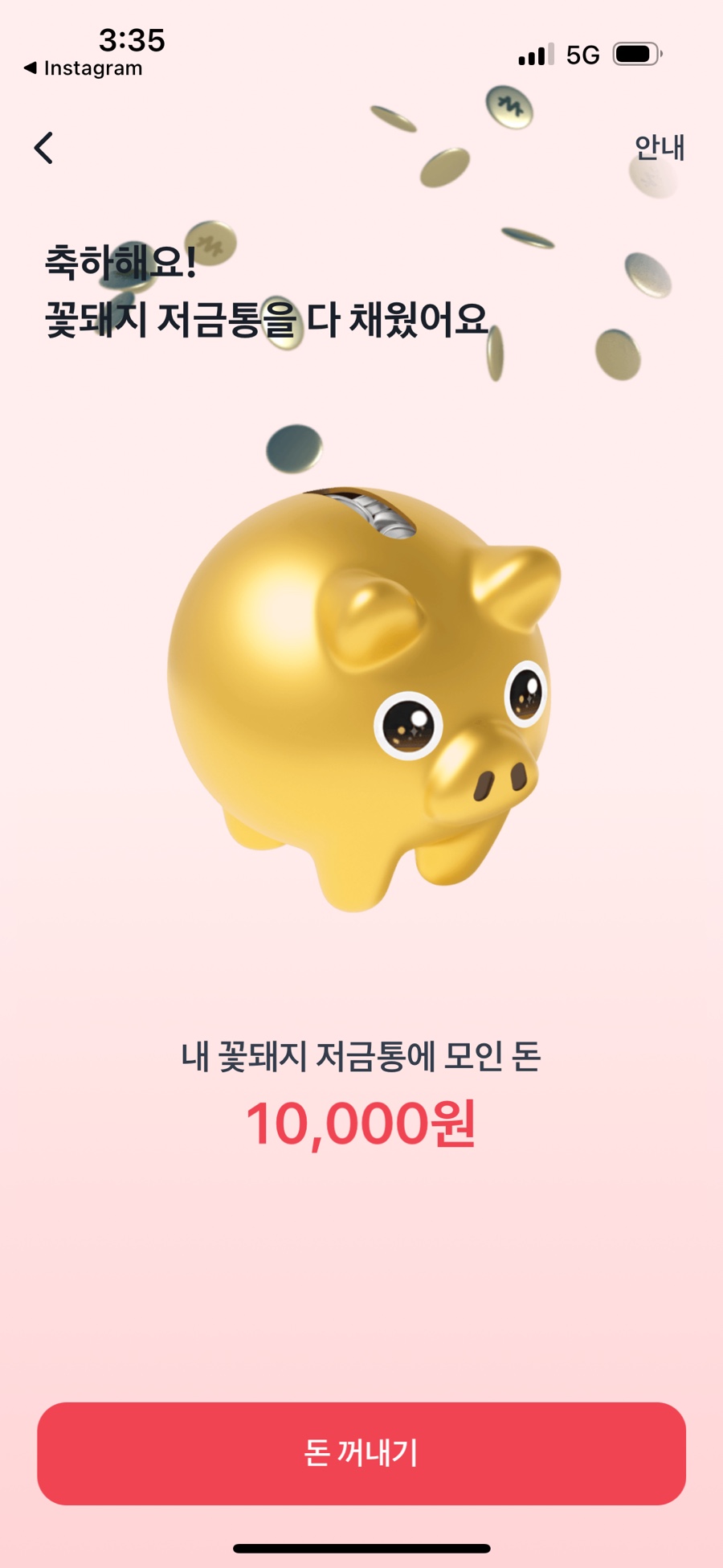 꽃돼지 이미지