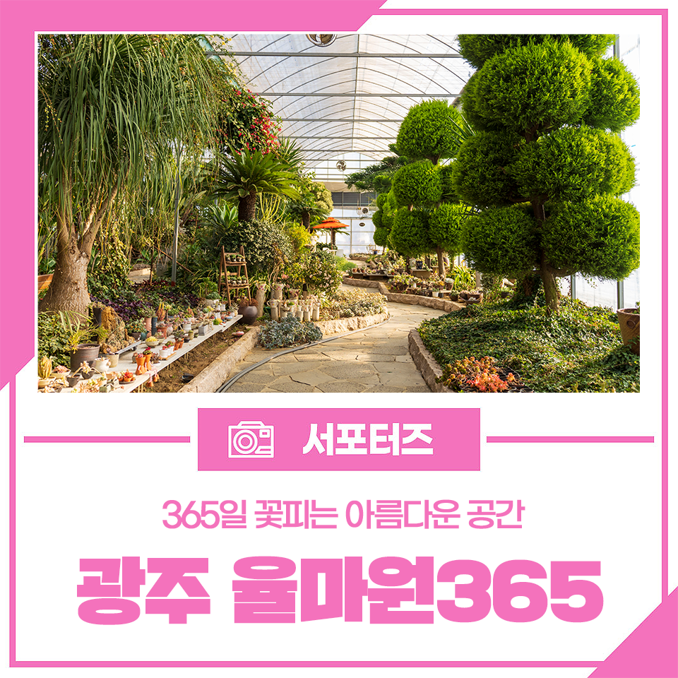 광주율마원365 이미지