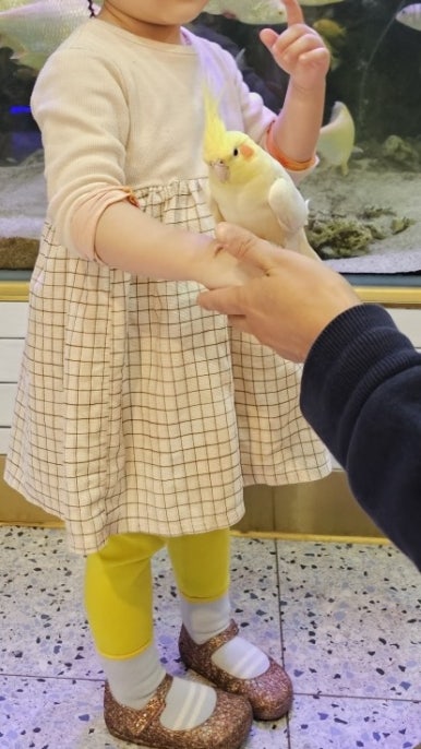 아쿠아파크 이미지