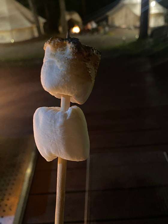 리틀 포레스트 캠핑 이미지