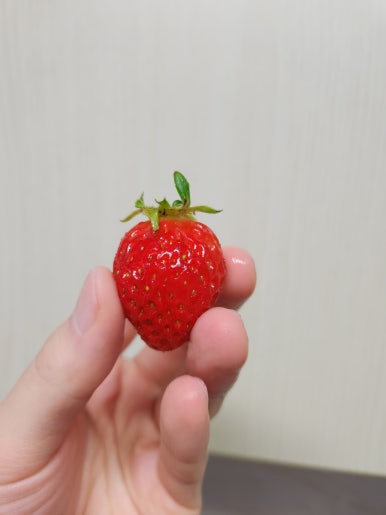 싱싱장터아름점 이미지