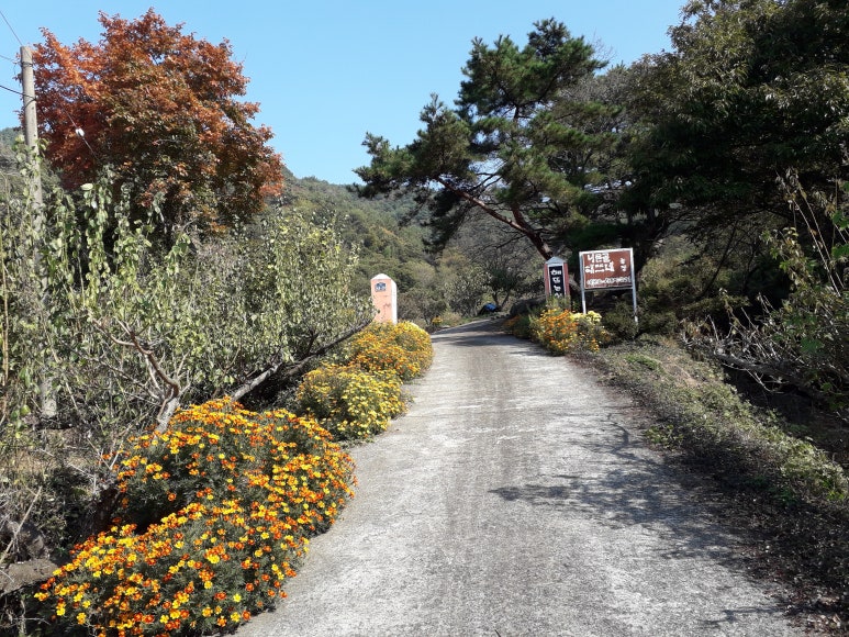 지리산해뜨네 이미지