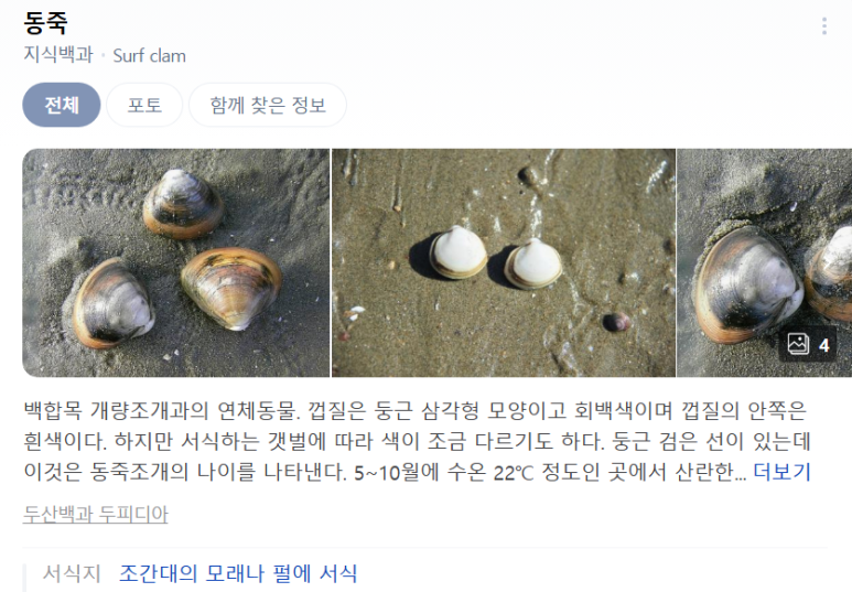 해품조개 이미지