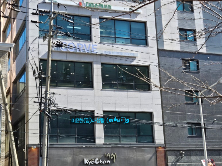 코르브(CORVE) 이미지