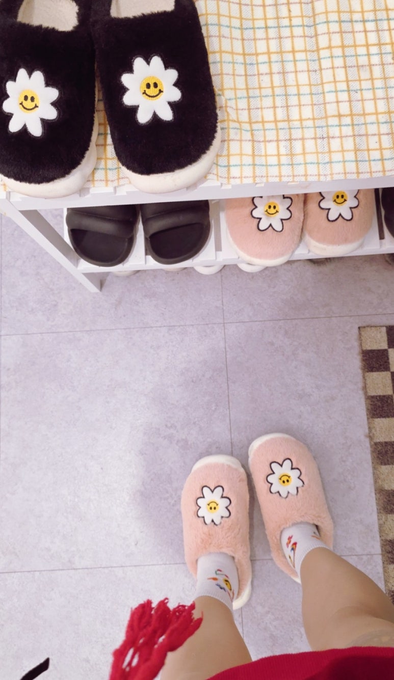 아르드뽀 이미지