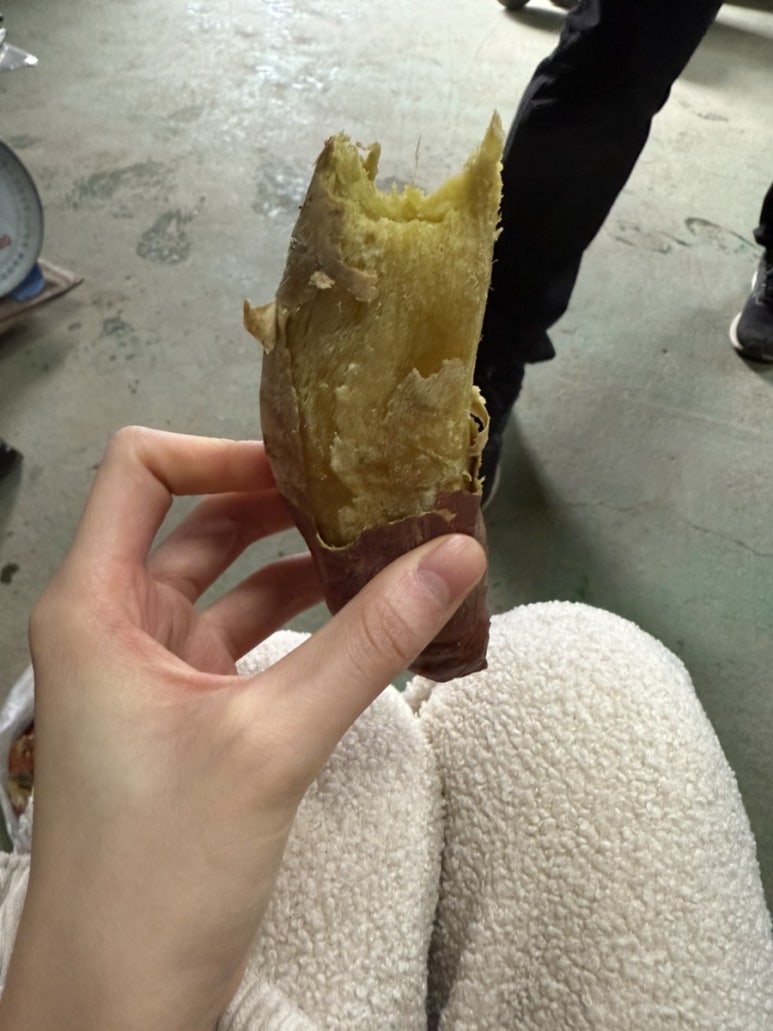 삼백인력 이미지