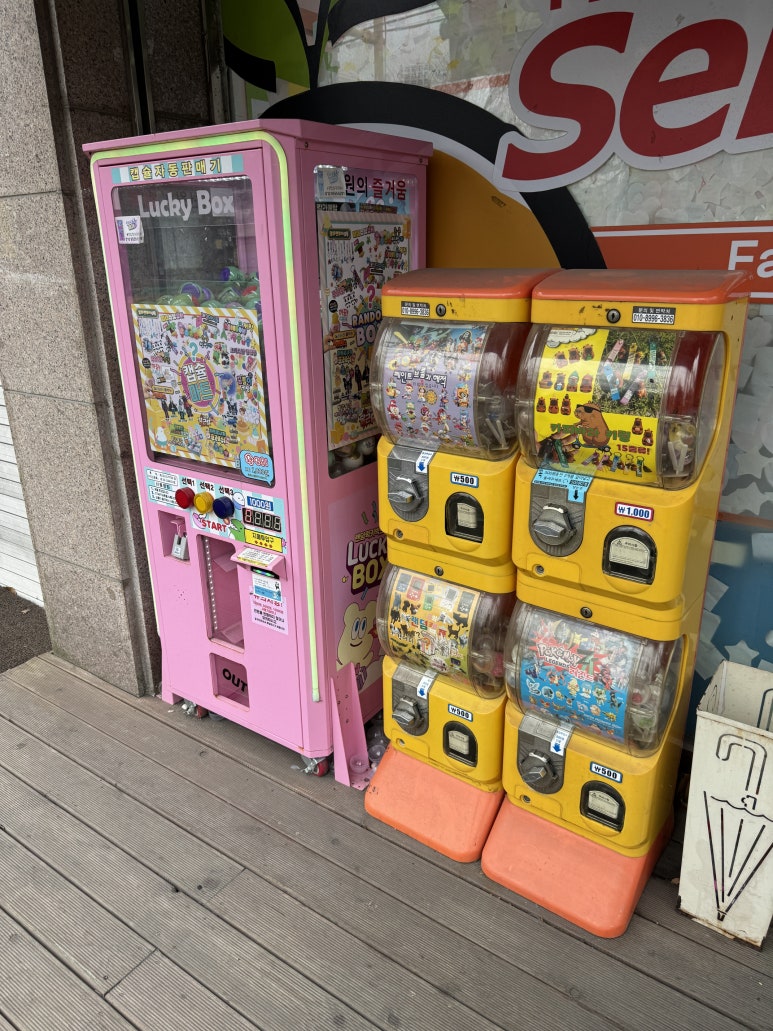 오렌지팟 이미지