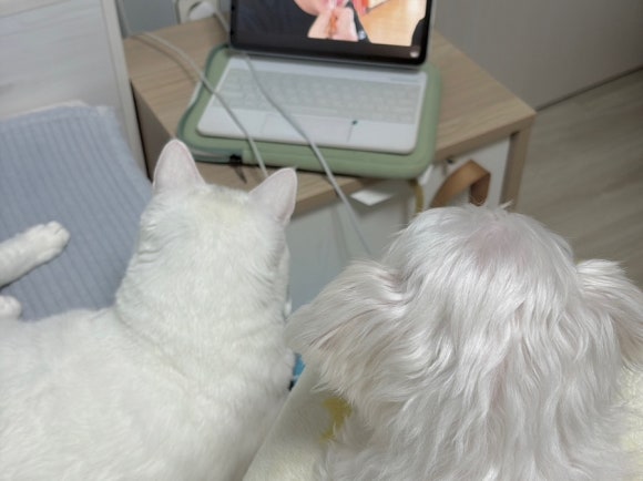 올라운더네일 이미지